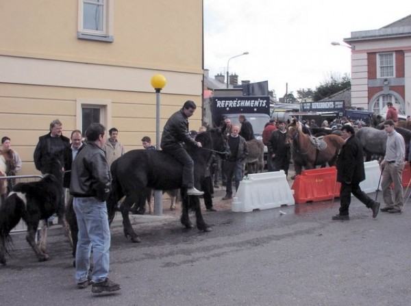 Horse Fair in Millstreet. March 2005