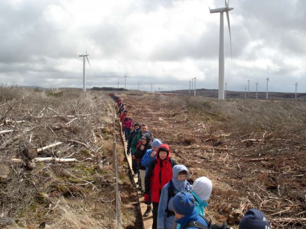 We thank Gordon O'Keeffe  for these magnificent picture of last weekend's Millstreet Walking Festival 2013.   Hear Gordon on our Radio Feature tonight at 10.  The scenes we're viewing here include Clara Mountain and the Wind Farm.  (S.R.)