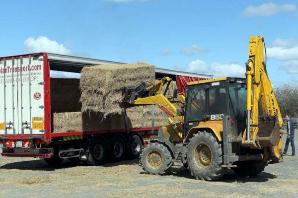 DeliveryofHay02-800