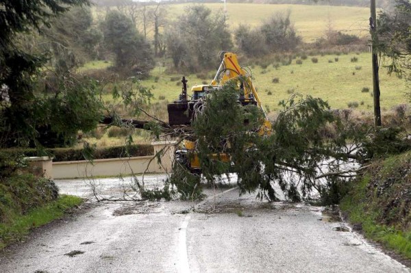 Such was the level of high winds experienced in Millstreet on Sunday that this tree 