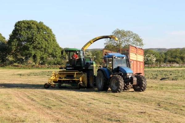 With picturesque Clara Mountain in the background Seán Murphy and his Team make great progress in silage cutting off the Macroom Road on Friday, 7th June 2013.  (S.R.)