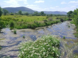 2013-07-05 Clara & the Derrynasagairt mountains - photo Stephen McAuliffe-1000