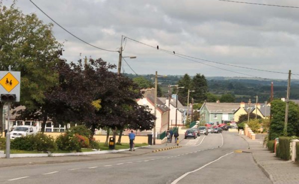 1Gathering Parade in Boherbue 2013 -800