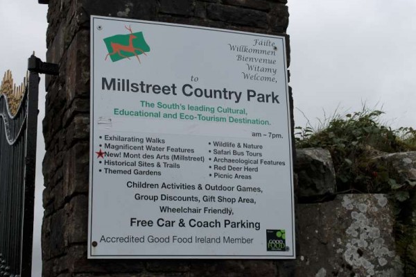 10Kite Fest at Millstreet Country Park 22nd Sept. 2013 -800