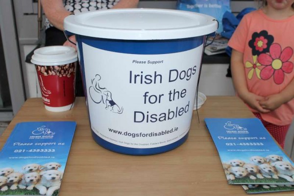 Irish Dogs for the Disabled in Millstreet - August 2013