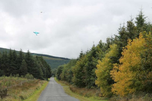 23Kite Fest at Millstreet Country Park 22nd Sept. 2013 -800