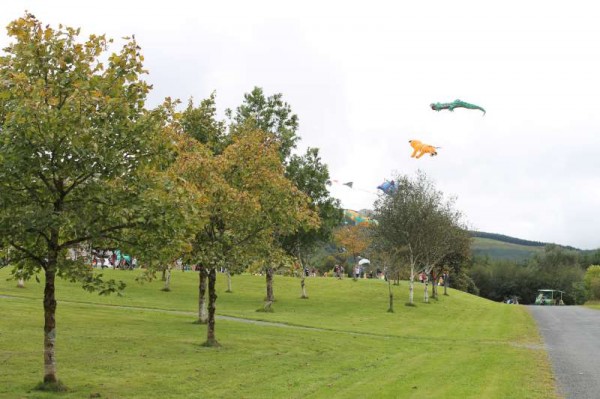 30Kite Fest at Millstreet Country Park 22nd Sept. 2013 -800