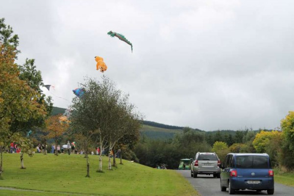 31Kite Fest at Millstreet Country Park 22nd Sept. 2013 -800