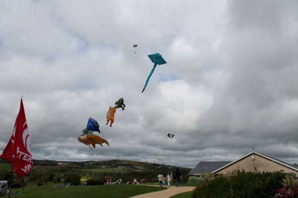 32Kite Fest at Millstreet Country Park 22nd Sept. 2013 -800