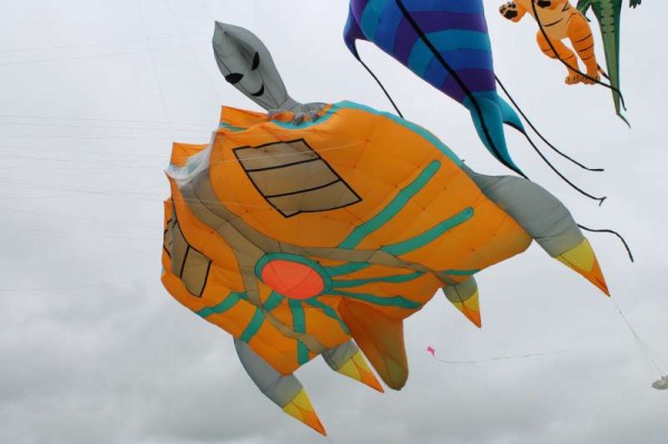 57Kite Fest at Millstreet Country Park 22nd Sept. 2013 -800