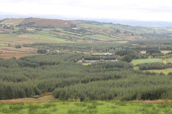 5Kite Fest at Millstreet Country Park 22nd Sept. 2013 -800