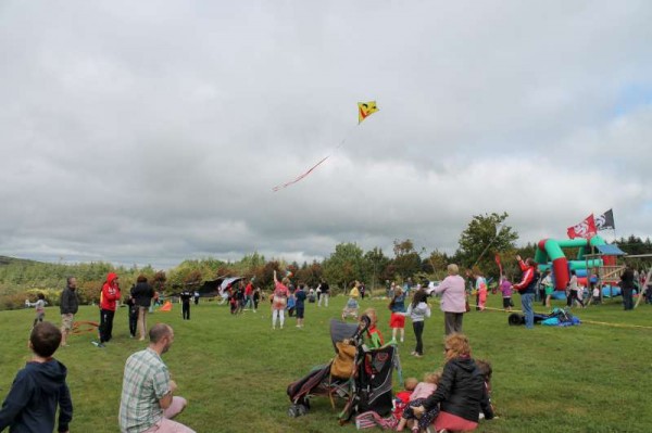 60Kite Fest at Millstreet Country Park 22nd Sept. 2013 -800