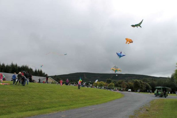 68Kite Fest at Millstreet Country Park 22nd Sept. 2013 -800