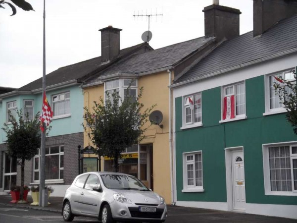 72Colourful Support for Cork's Hurling All-Ireland 2013 -800