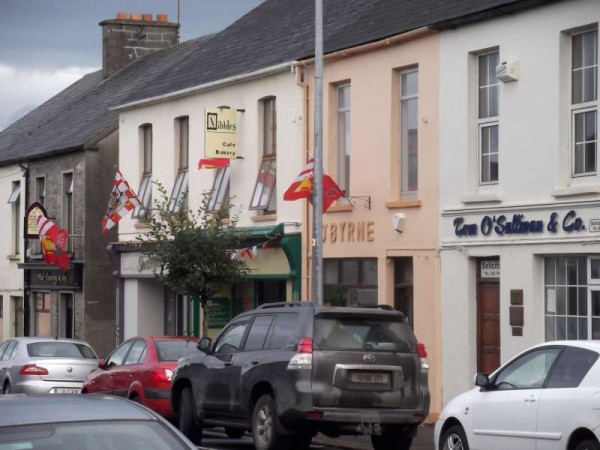 78Colourful Support for Cork's Hurling All-Ireland 2013 -800