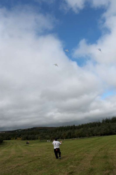 93Kite Fest at Millstreet Country Park 22nd Sept. 2013 -800