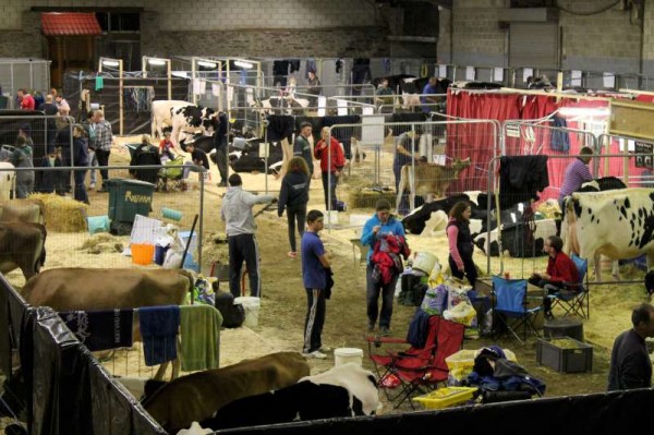 331st National Dairy Show 2013 -800