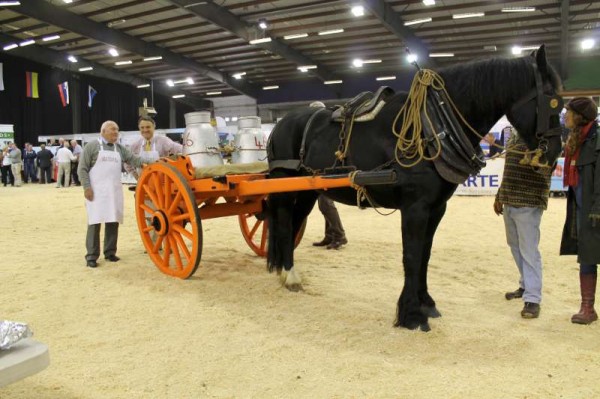 49National Dairy Show 19 Oct. 2013 -800