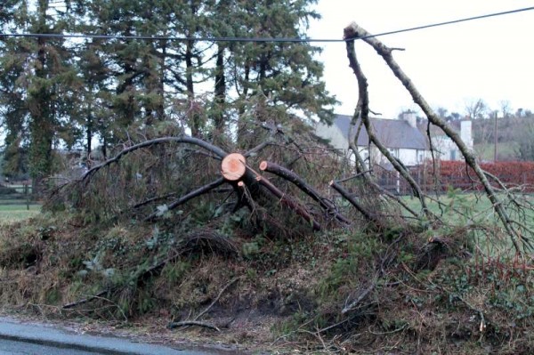 2Storm Darwin Aftermath in Millstreet 2014 -800