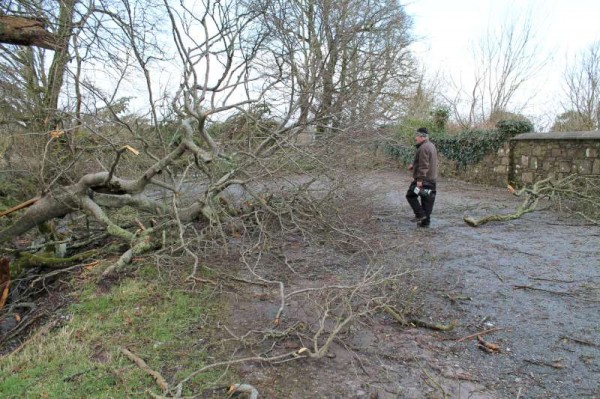 32Storm Darwin Aftermath in Millstreet 2014 -800