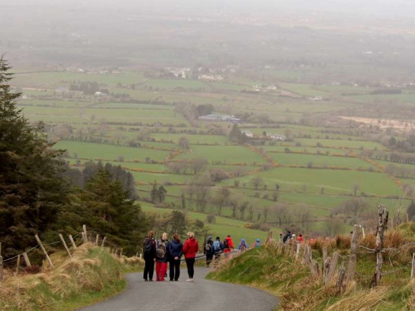 18Day One of Millstreet Walking Festival 2014