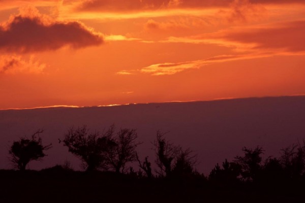 2014-04-15 A Red Sky at Night - taken by Geraldine Dennehy in Ballydaly at 8.15pm