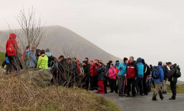 2Day One of Millstreet Walking Festival 2014