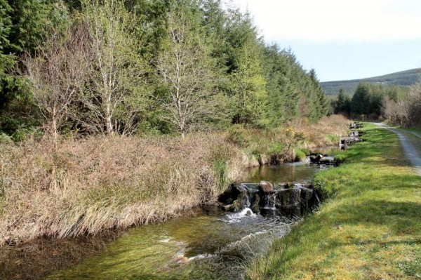 30Millstreet Walking Festival 2014 - Day Two -800