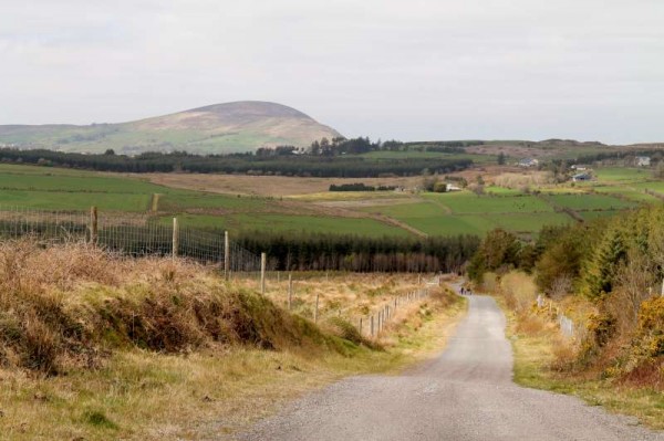 43Millstreet Walking Festival 2014 - Day Two -800