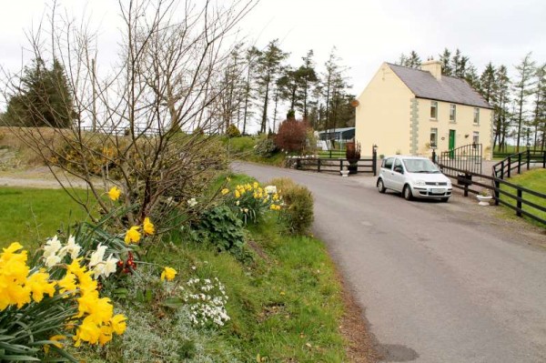 47Day One of Millstreet Walking Festival 2014