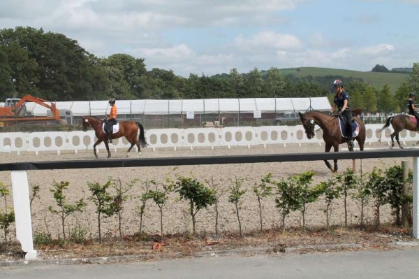 6Wednesday 30th July 2014 at European Pony Event-800