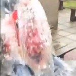 Connie Hickey - Ice Bucket Challenge