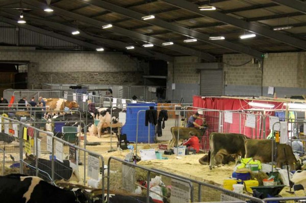 1National Dairy Show Preparations 2014 -800