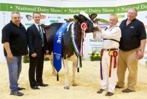 2014-10-18 Millstreet Dairy Show 04 b