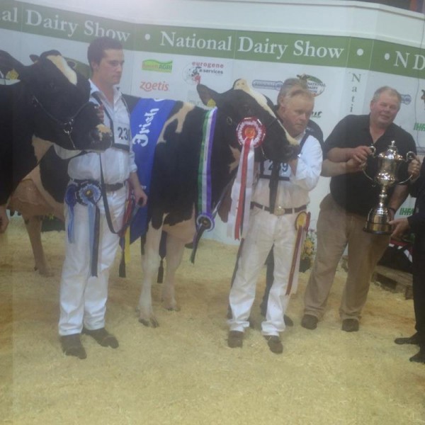 2014-10-18 Millstreet Dairy Show 09