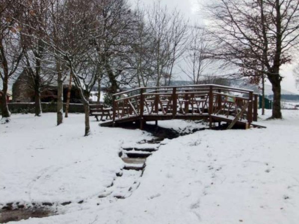 Another photograph of our beautiful bridge and water feature.