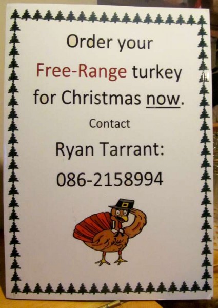 2Ryan's Christmas Turkey Ad 2014 -800