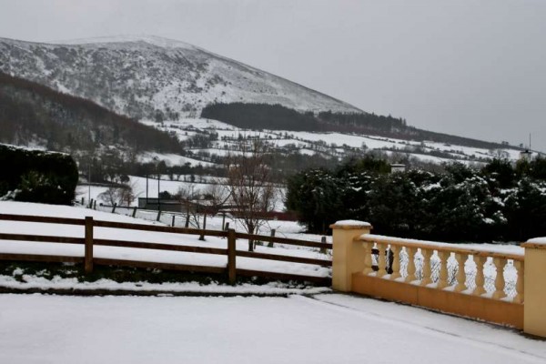 10Morning Snow in Millstreet 14 Jan. 2015 -800