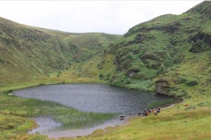 2014-08 Kippagh Lake with Cattle_