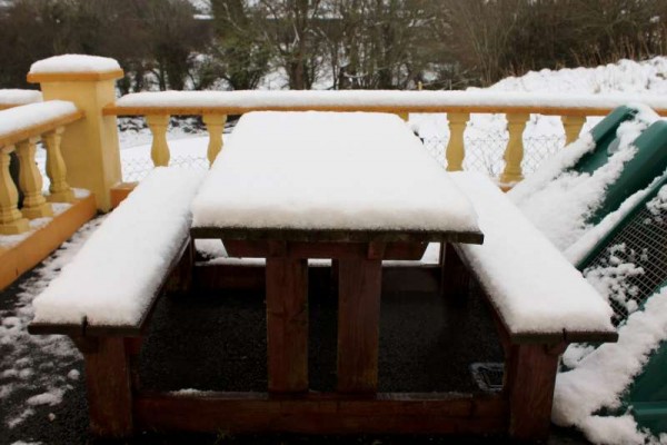 9Morning Snow in Millstreet 14 Jan. 2015 -800