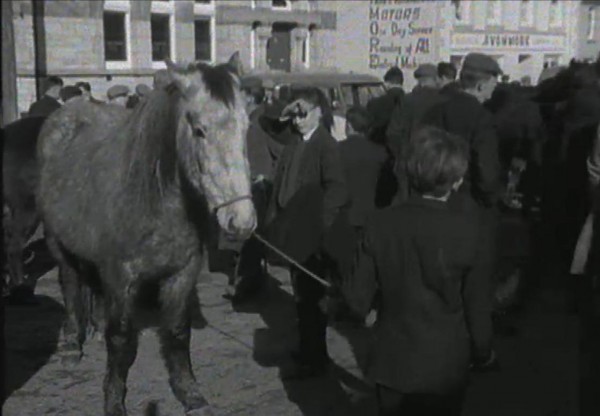 1965 March Horse Fair - an RTÉ Newsbeat report 16 - Bank of Ireland and Avonmore