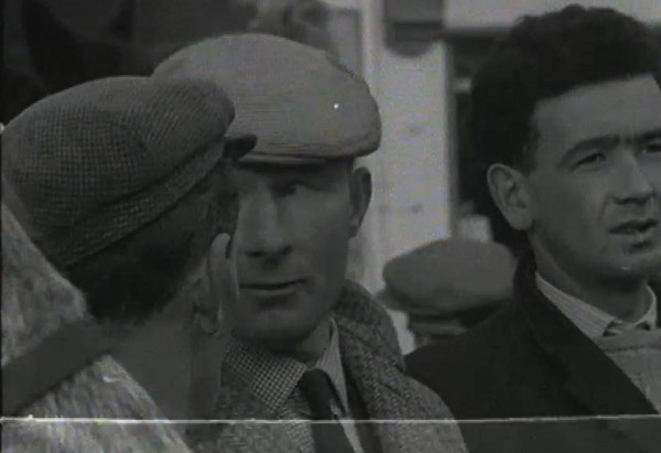 1965 March Horse Fair - an RTÉ Newsbeat report 19