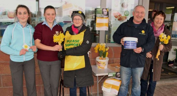 3Daffodil Day 27th March 2015 -800