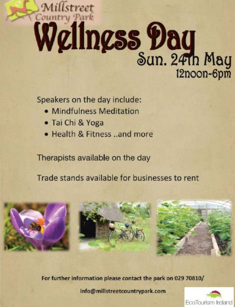 2015-05-24 Wellness Day at Millstreet Country Park - poster-1000