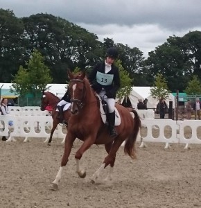 2015-08-11 First Day of Millstreet Horse Show 02