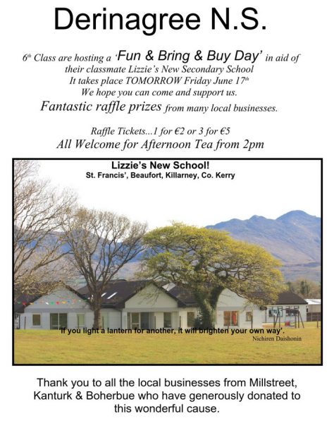 2016-06-17 Derinagree NS - Fun Bring and Buy Day - poster