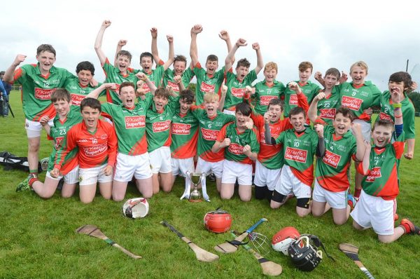 2016-09-24-keale-gaels-u14-hurlers-who-beat-lisgoold-in-the-county-final